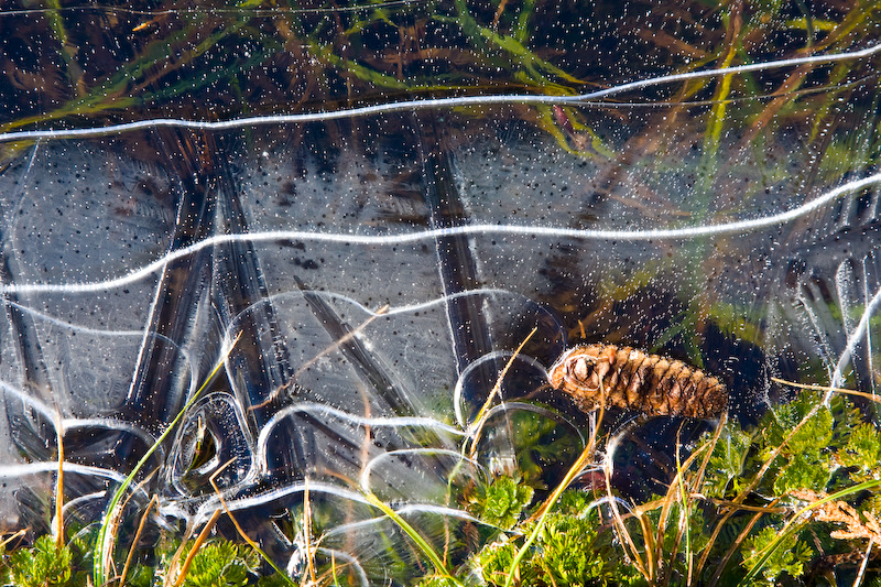 Edge Of Frozen Tarn